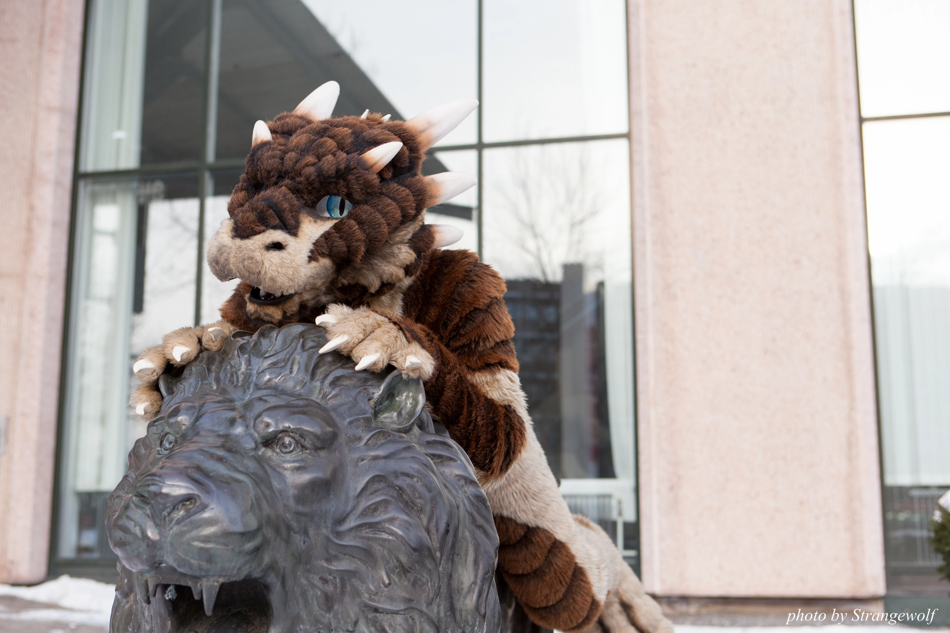 full image IMG_0363-lr19t.jpg