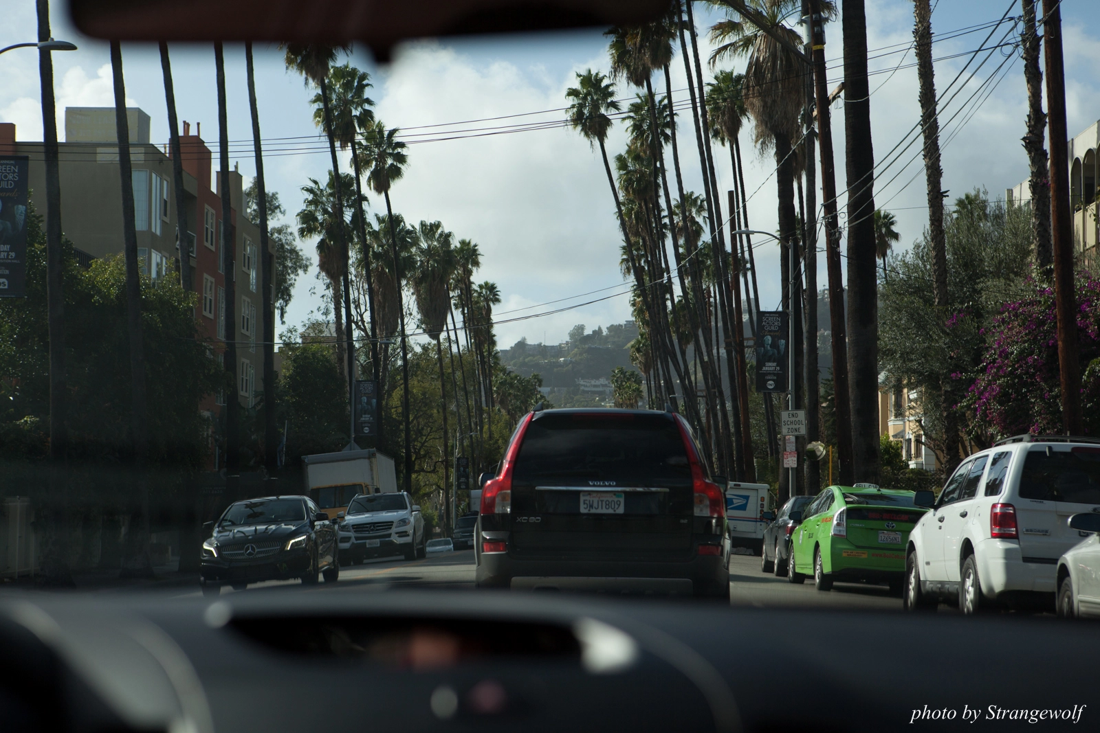 full image IMG_0985-lr16t.jpg