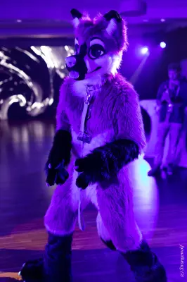1R3A6791-lr19t.jpg of Furvester/Furvester2022/