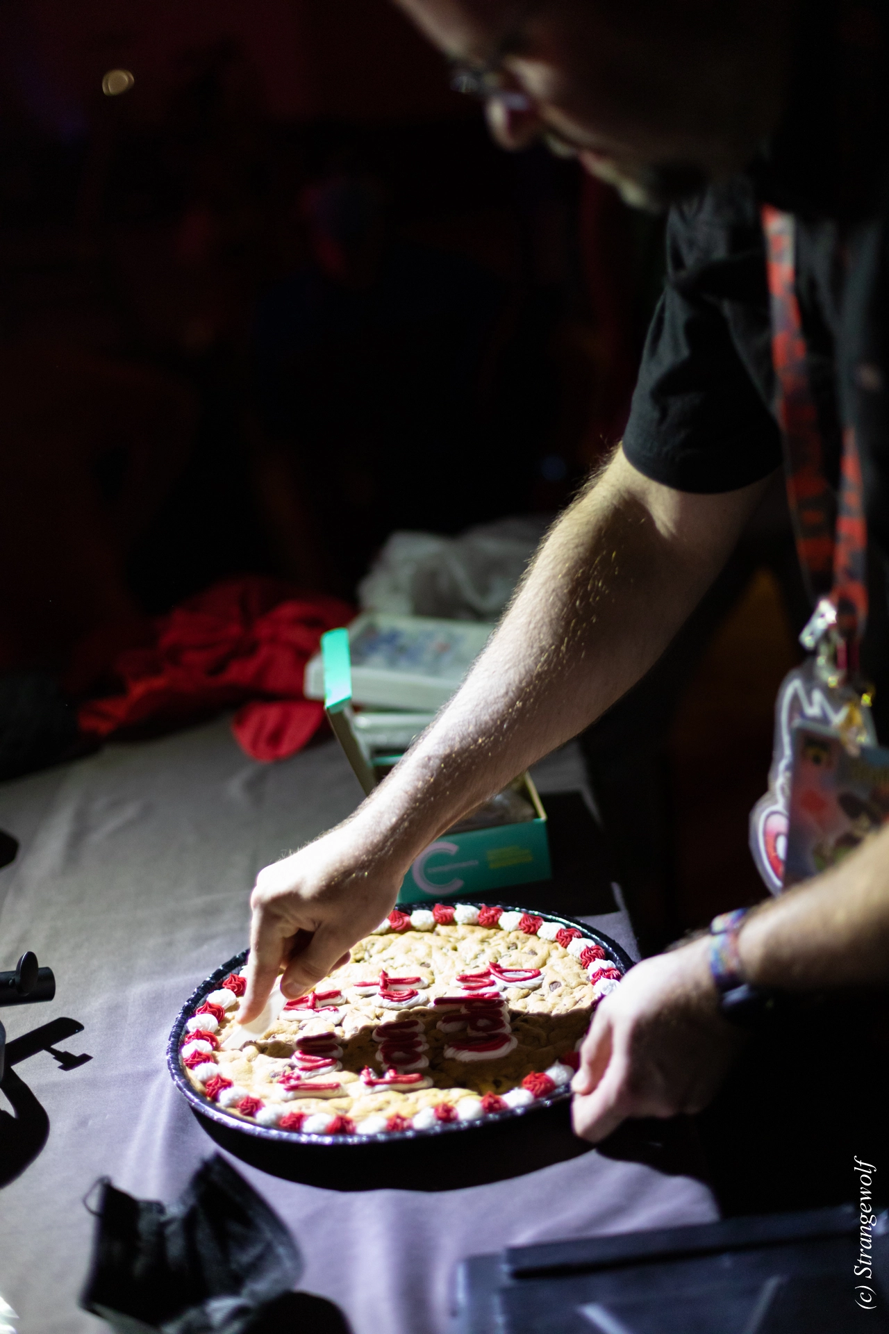 full image 1R3A0840-lr19t.jpg