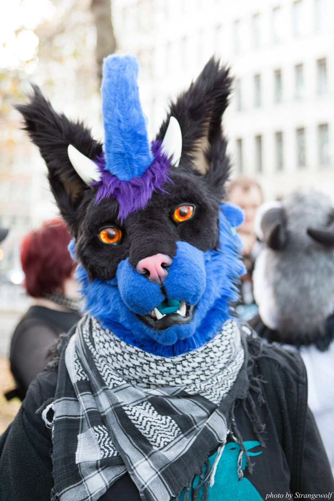 full image IMG_5335-lr16t.jpg