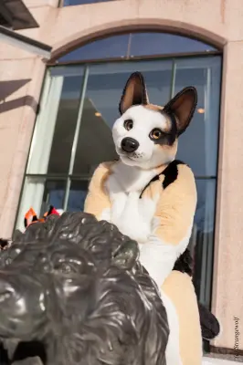 IMG_9569-lr19t.jpg of NFC/NFC2018/