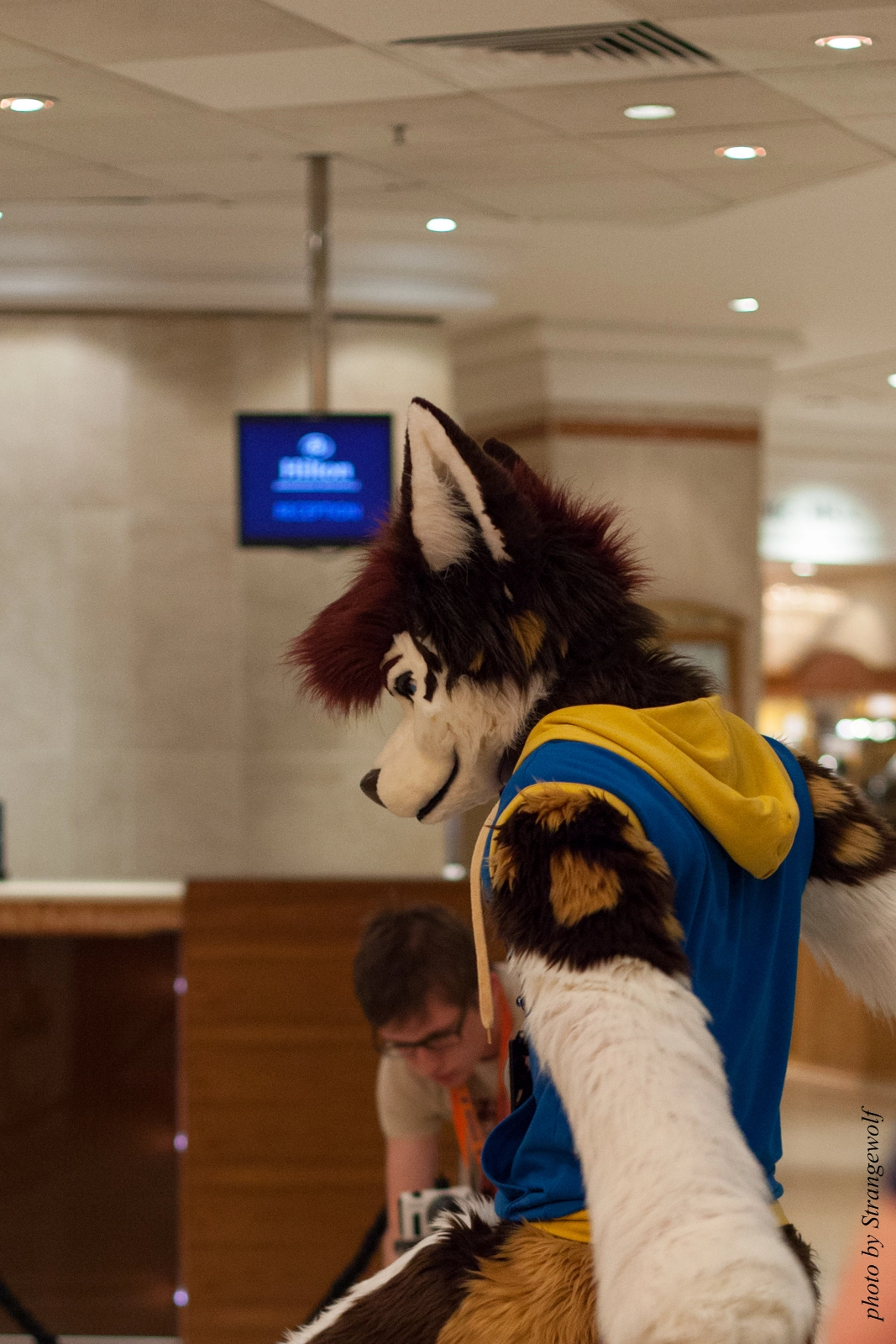 full image IMG_7598-lr16t.jpg