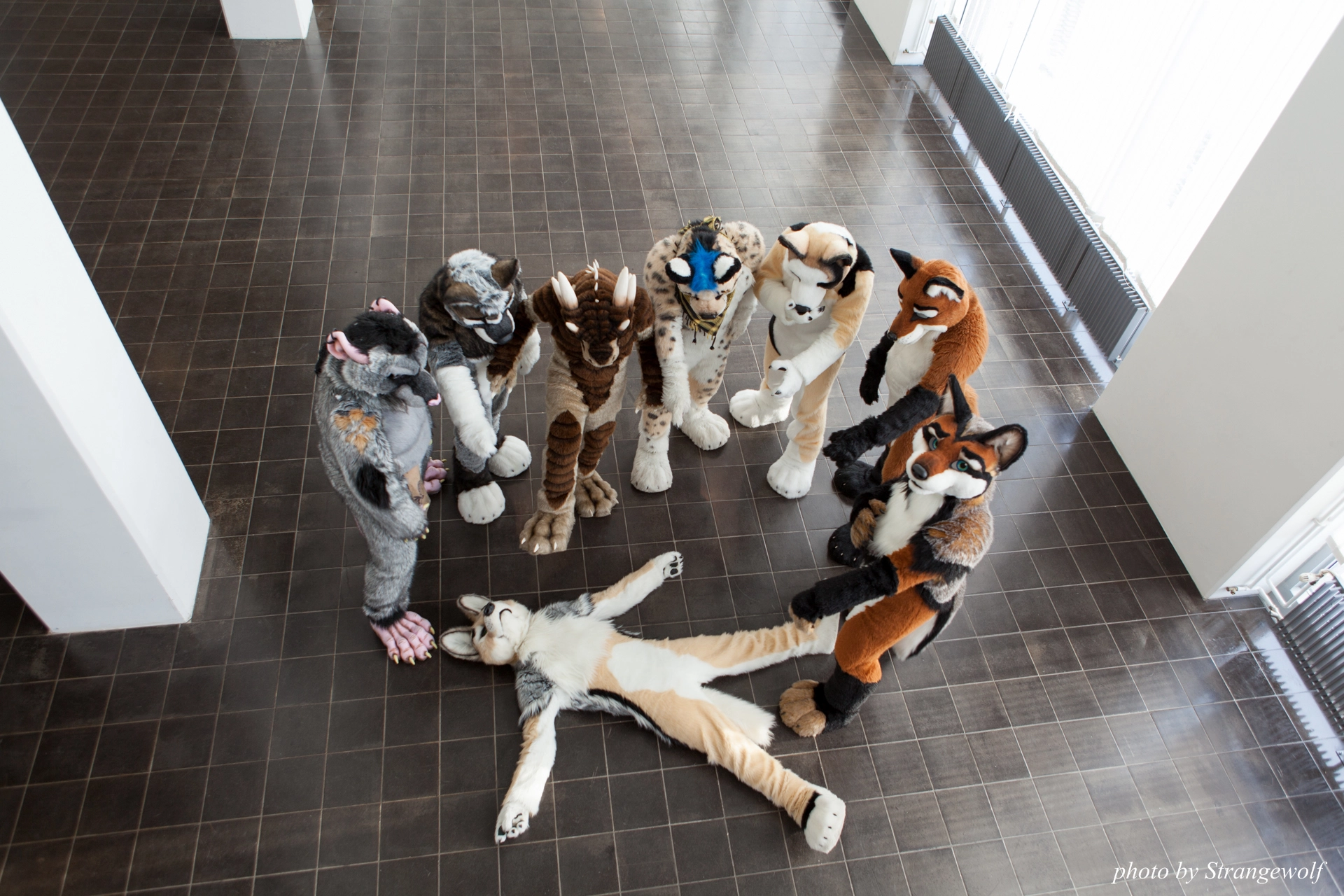 full image IMG_0377-lr19t.jpg