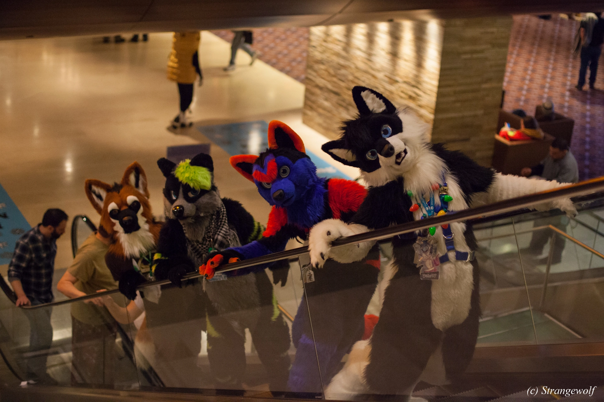 full image IMG_6599-lr19t.jpg