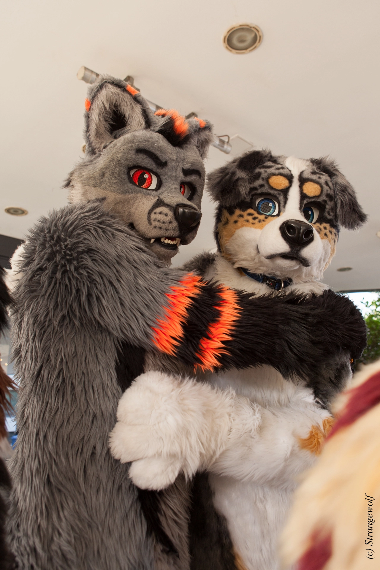 full image IMG_4943-lr19t.jpg