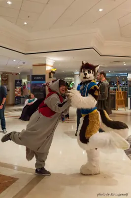 IMG_7583-lr16t.jpg of CFZ/CFZ2016/