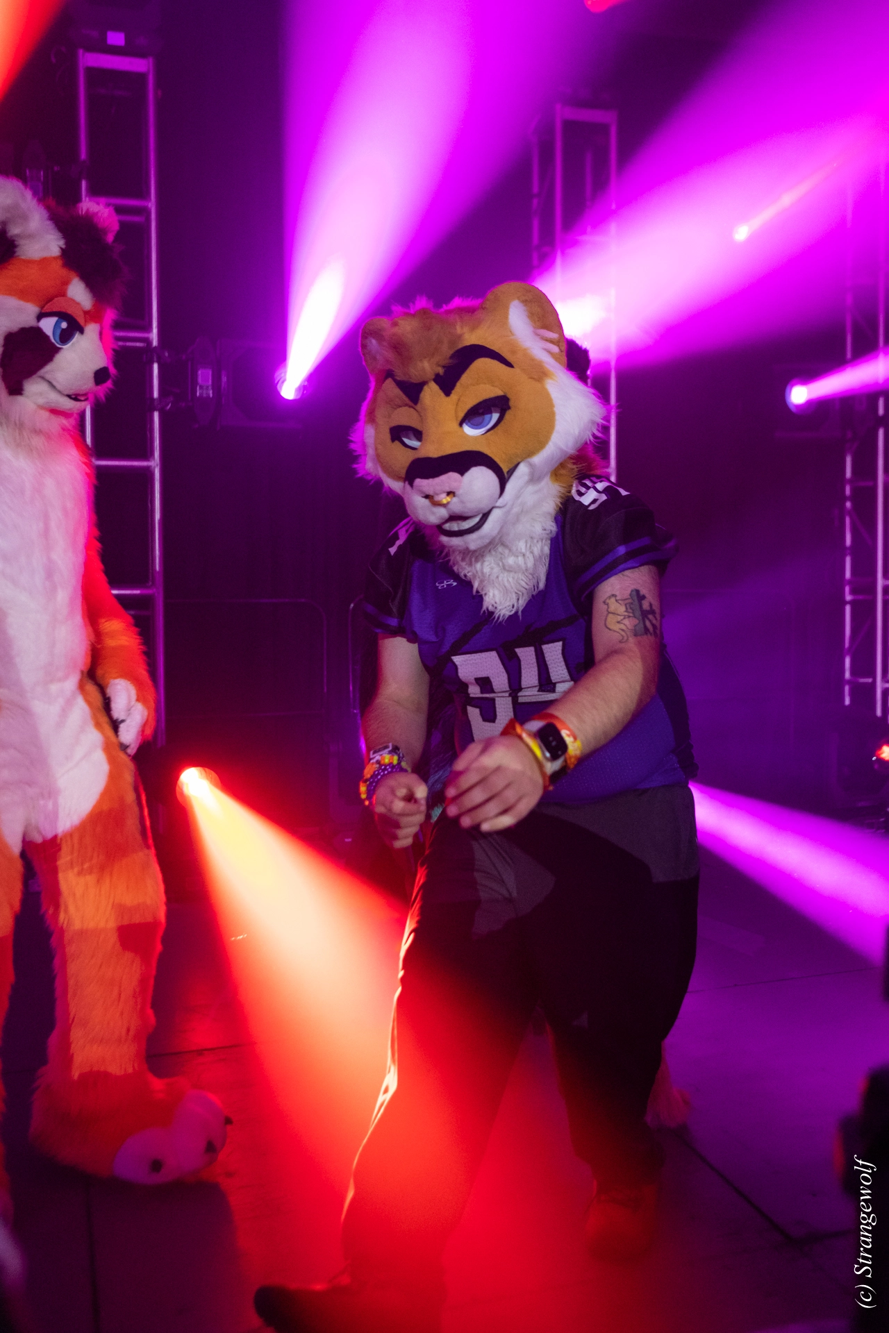 full image 1R3A0901-lr19t.jpg