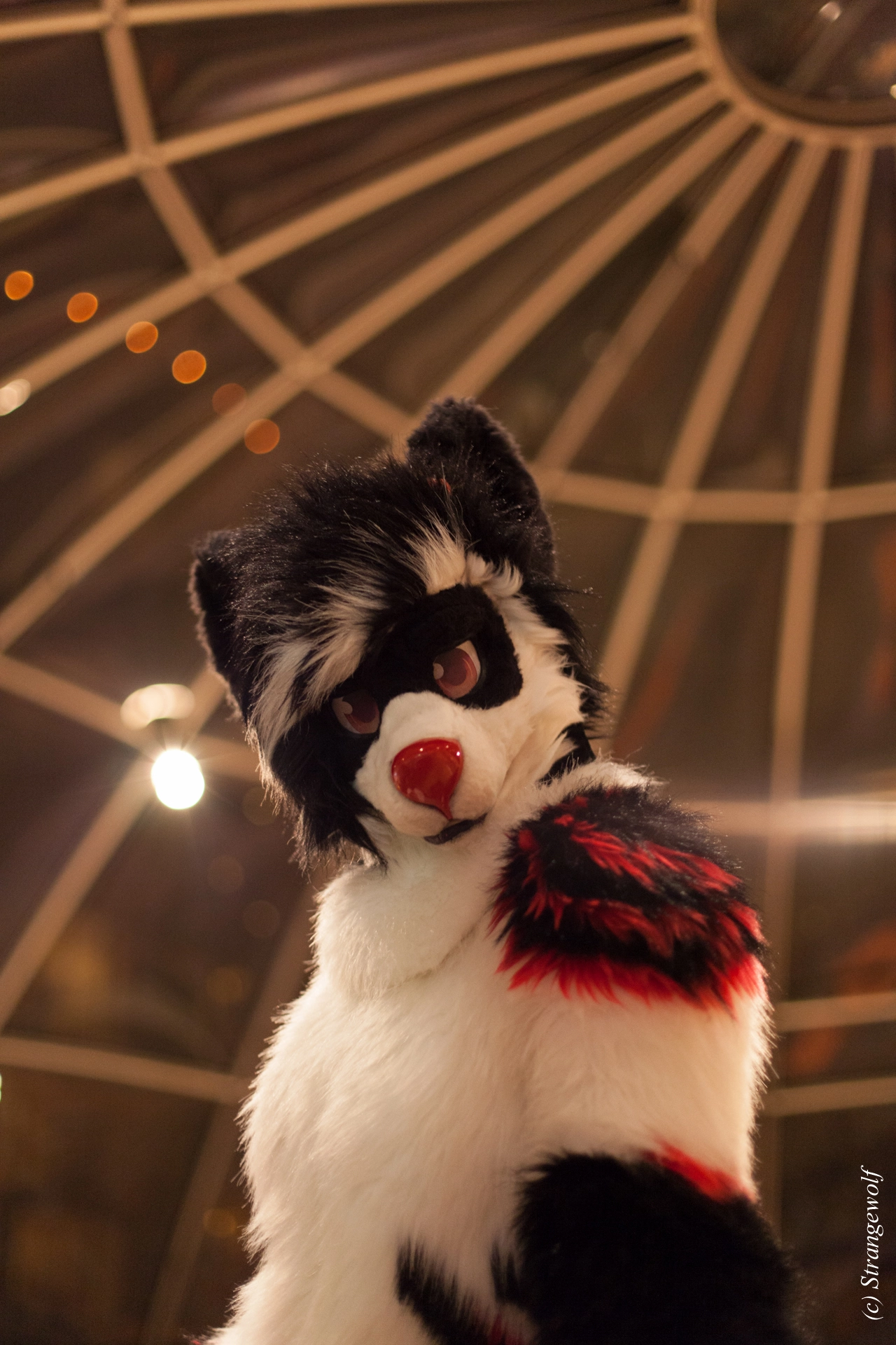 full image IMG_7133-lr19t.jpg