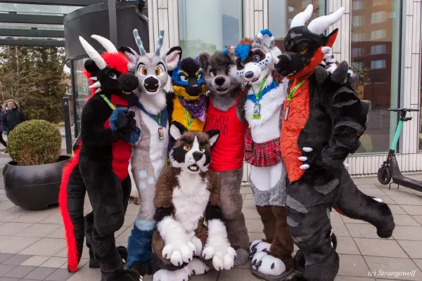 IMG_9021-lr19t.jpg of NFC/NFC2020/