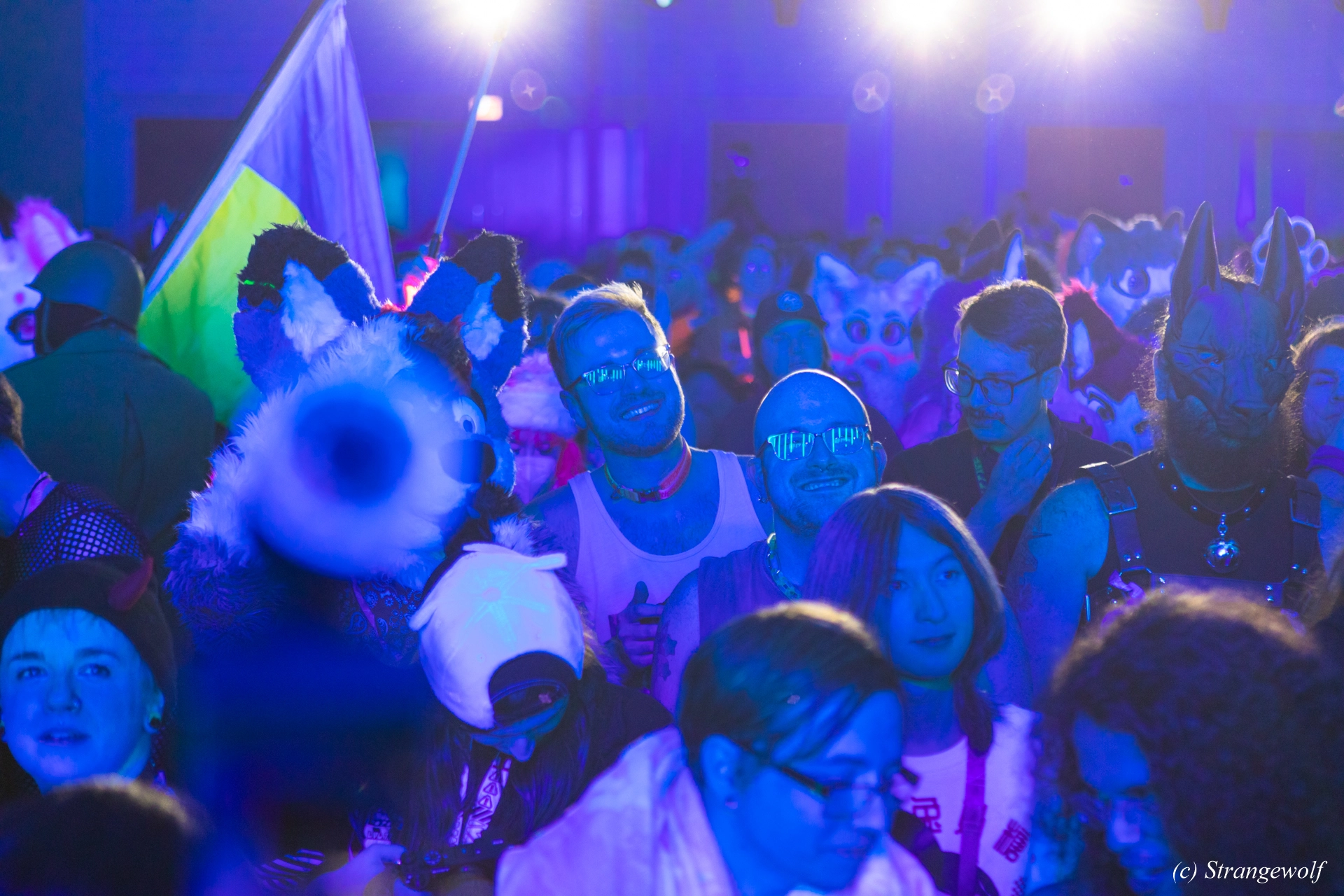 full image 1R3A5064-lr19t.jpg