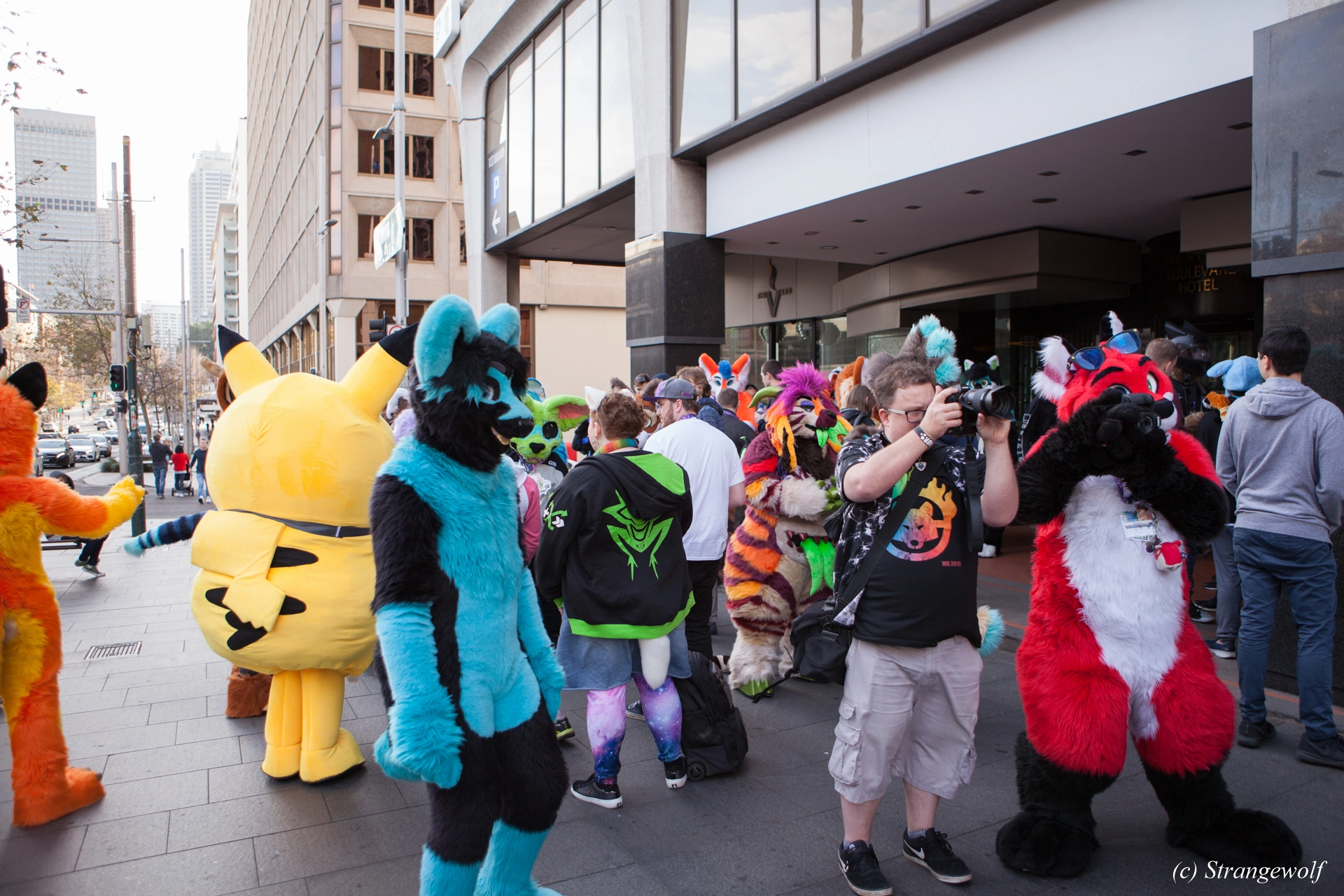 full image IMG_4564-lr19t.jpg