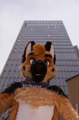 IMG_9050-lr19t.jpg of NFC/NFC2020/