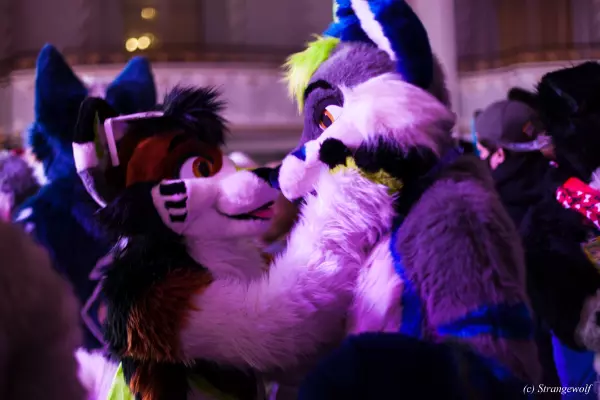 IMG_3003-lr19t.jpg of ANE/ANE2022/