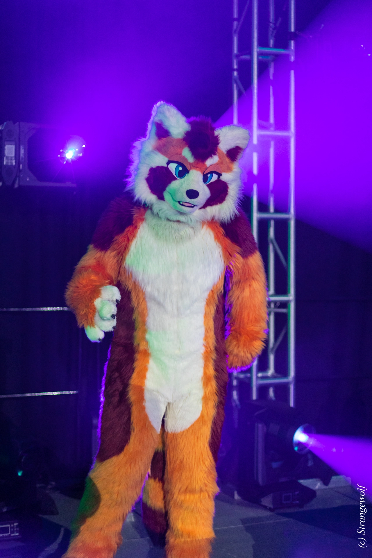 full image 1R3A0482-lr19t.jpg