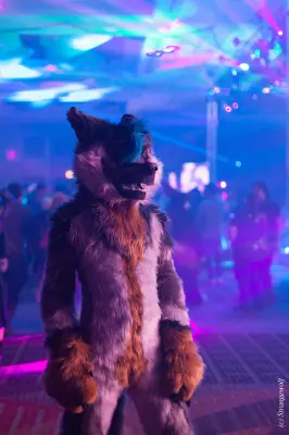 IMG_8055-lr19t.jpg of MFF/MFF2019/
