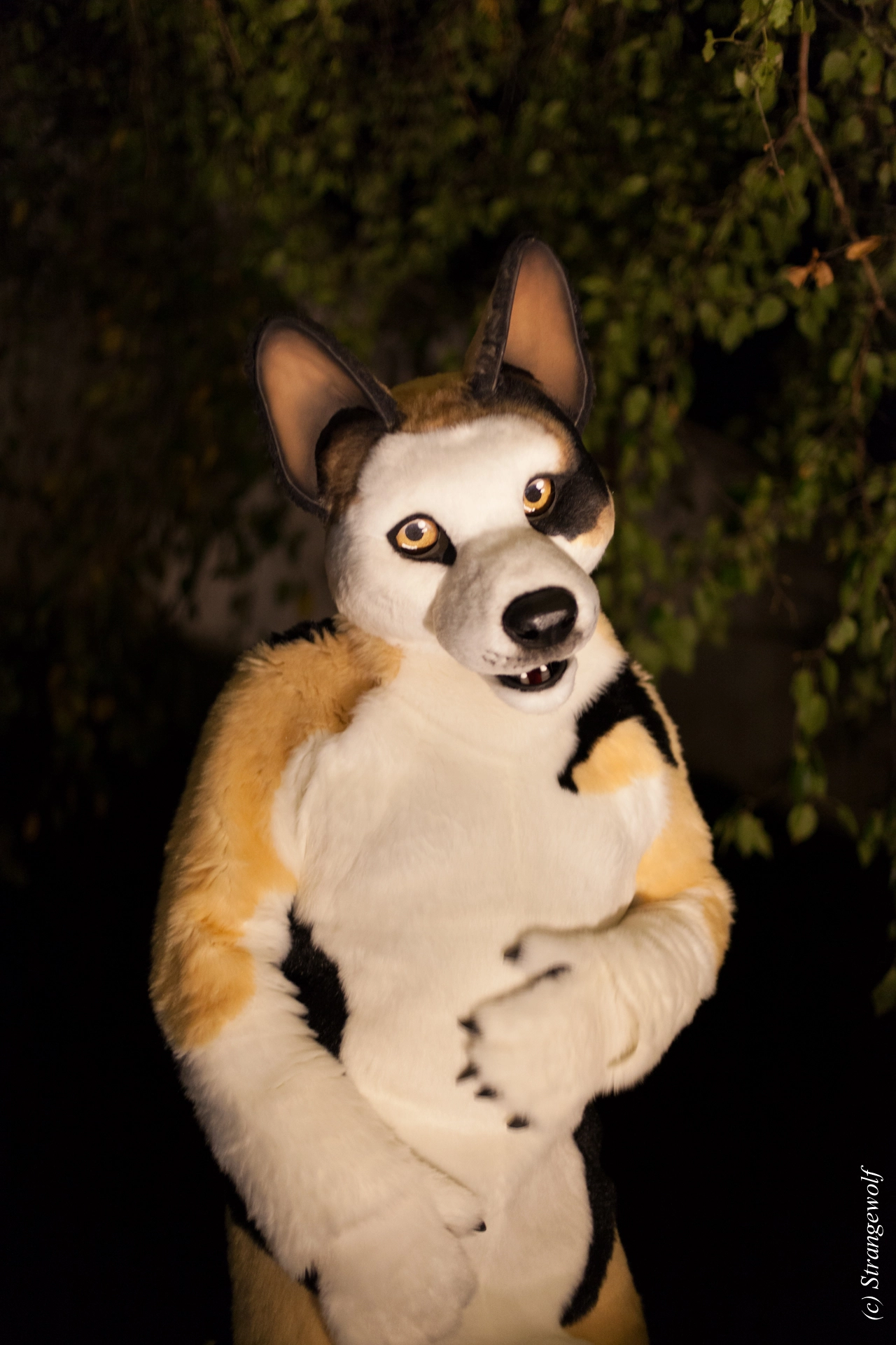 full image IMG_6422-lr19t.jpg