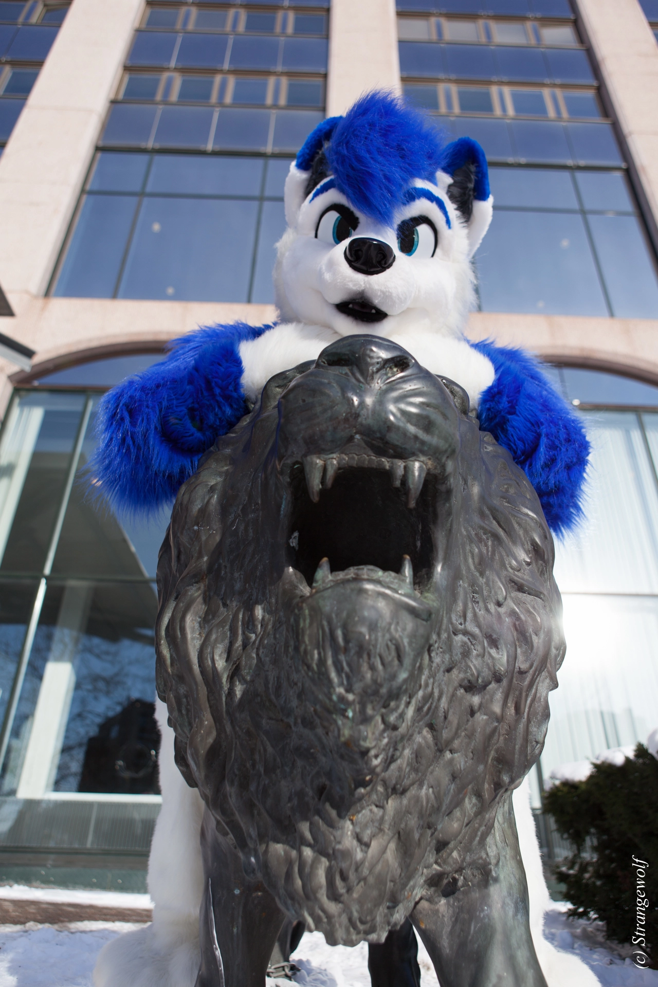 full image IMG_9765-lr19t.jpg