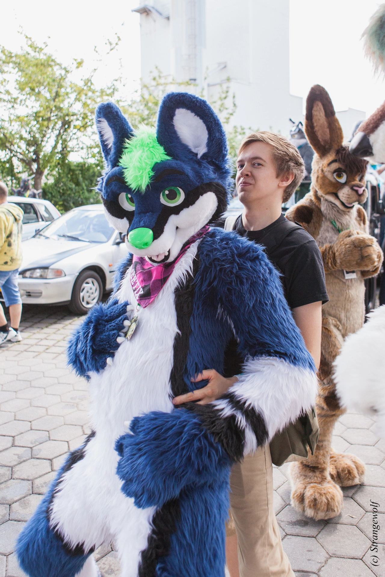 full image IMG_6887-lr19t.jpg