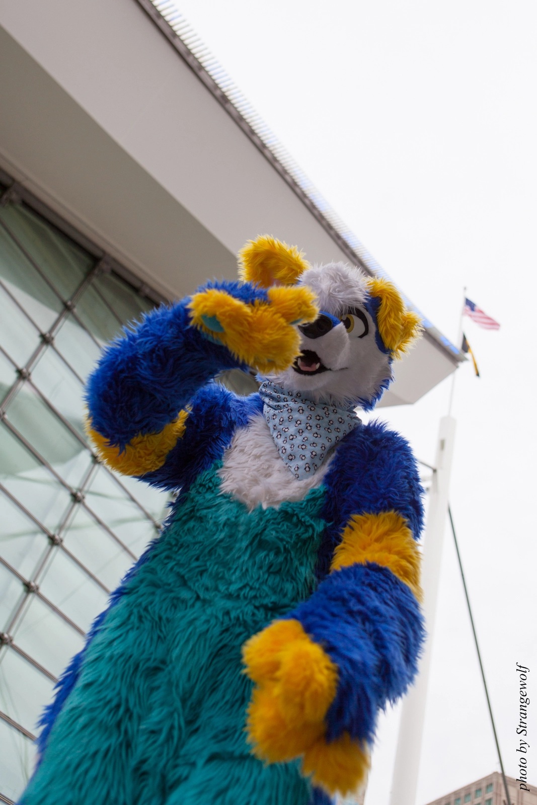 full image IMG_8223-lr16t.jpg