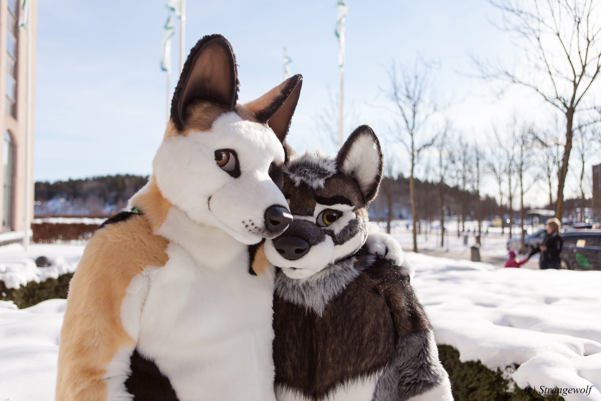 full image IMG_9548-lr19t.jpg