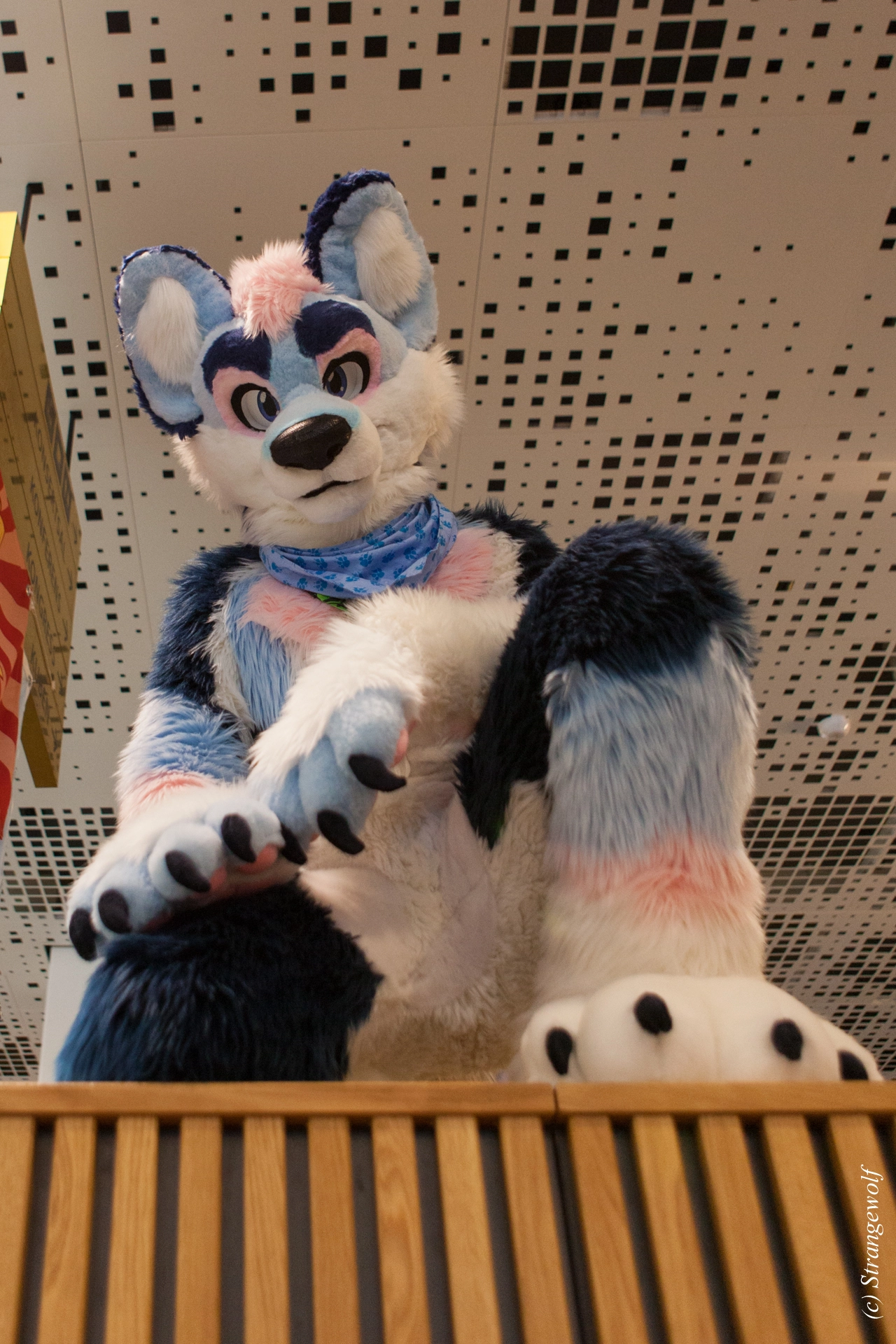 full image IMG_8411-lr19t.jpg