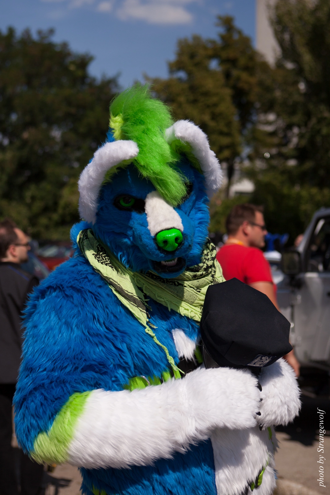 full image IMG_2289-lr16t.jpg