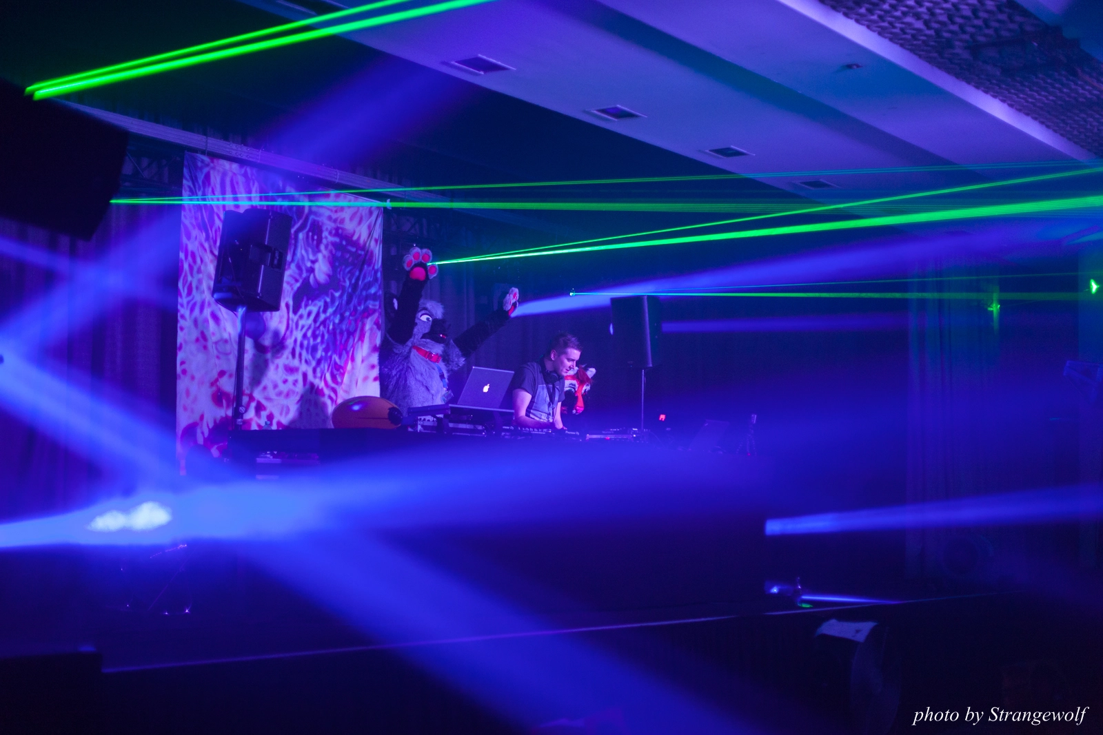 full image IMG_8767-lr16t.jpg