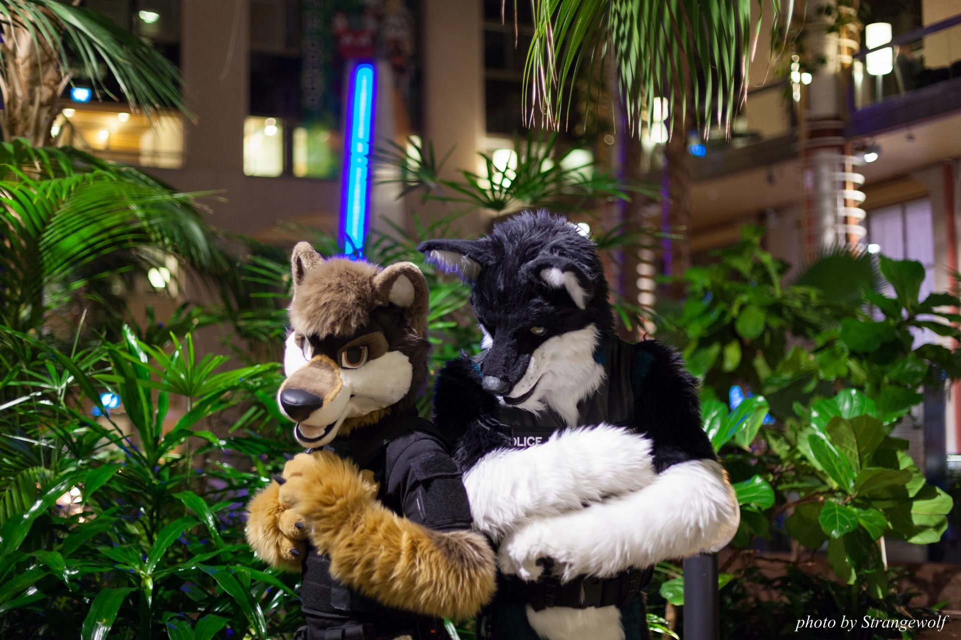 full image IMG_0740-lr19t.jpg