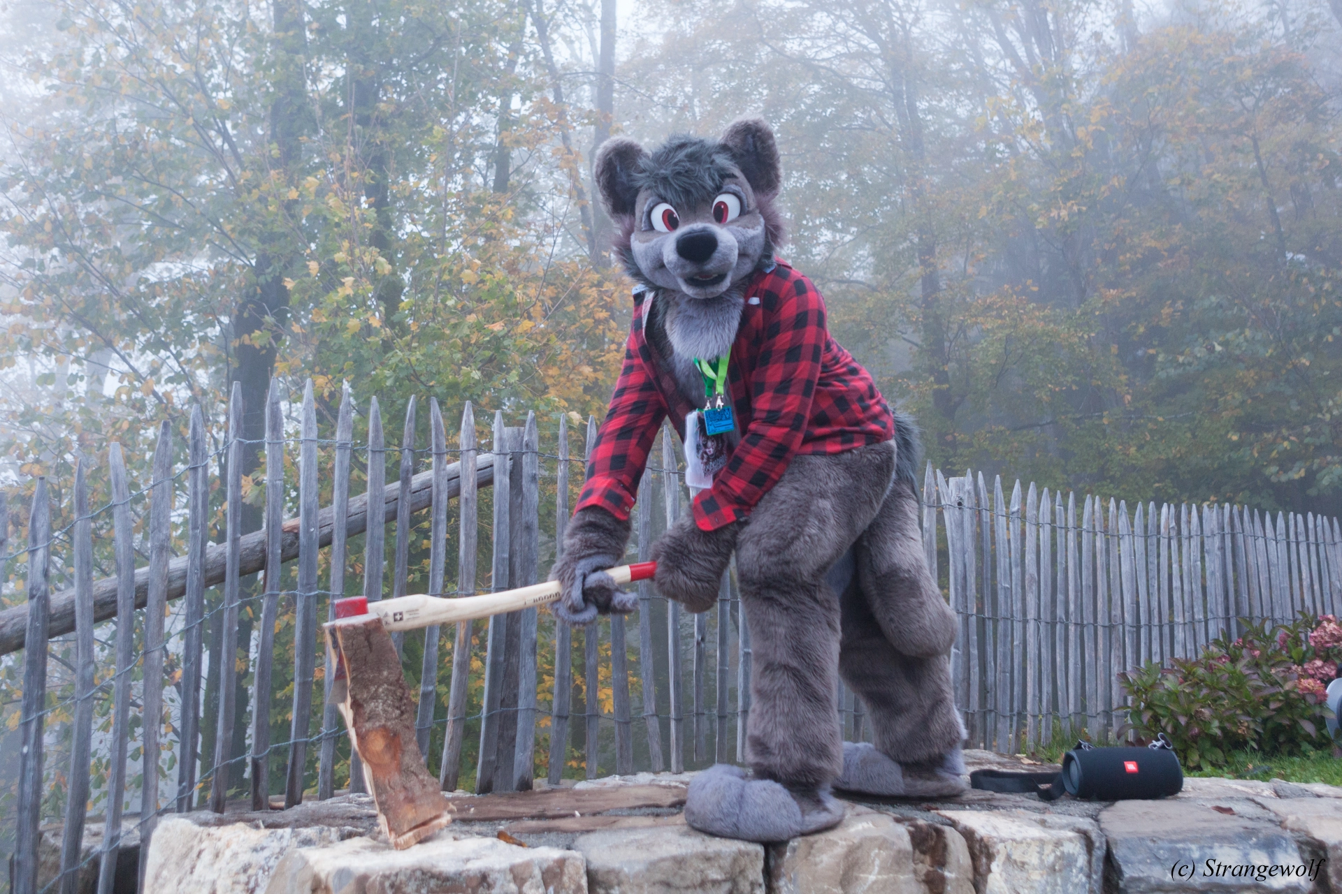 full image IMG_7071-lr19t.jpg