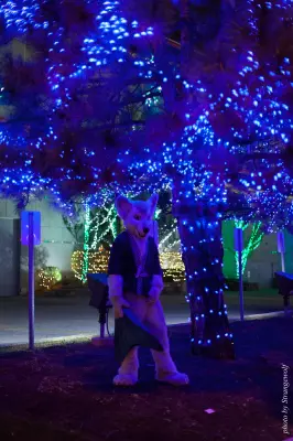 IMG_0764-lr16t.jpg of MFF/MFF2016/Photoshoot-Glitch_Merwusky/