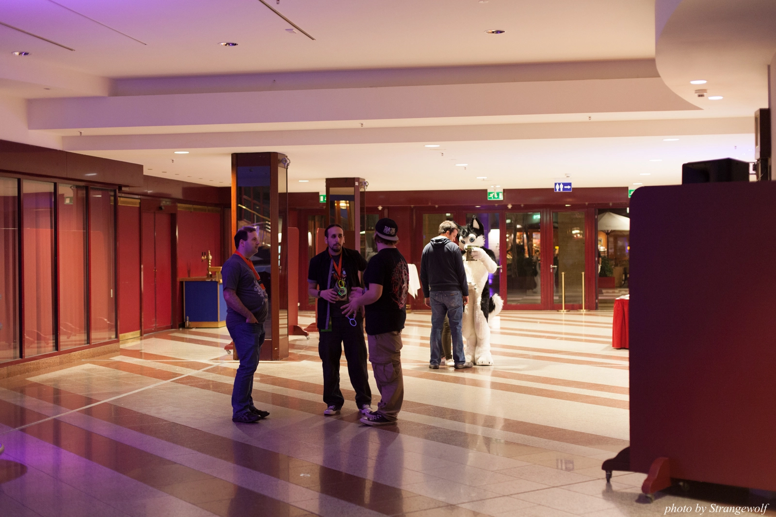 full image IMG_1301-lr16t.jpg