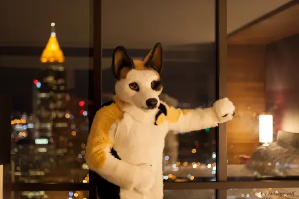 IMG_2125-lr19t.jpg of FWA/FWA2018/