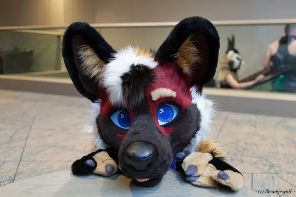 IMG_3994-lr19t.jpg of TFF/TFF2022/