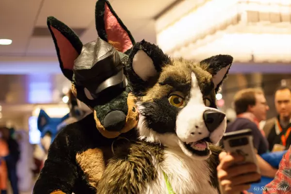 IMG_7264-lr19t.jpg of MFF/MFF2018/