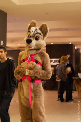 IMG_1287-lr16t.jpg of FC/FC2017/