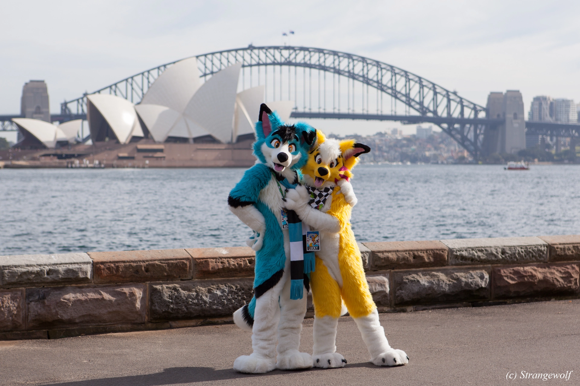 full image IMG_4367-lr19t.jpg