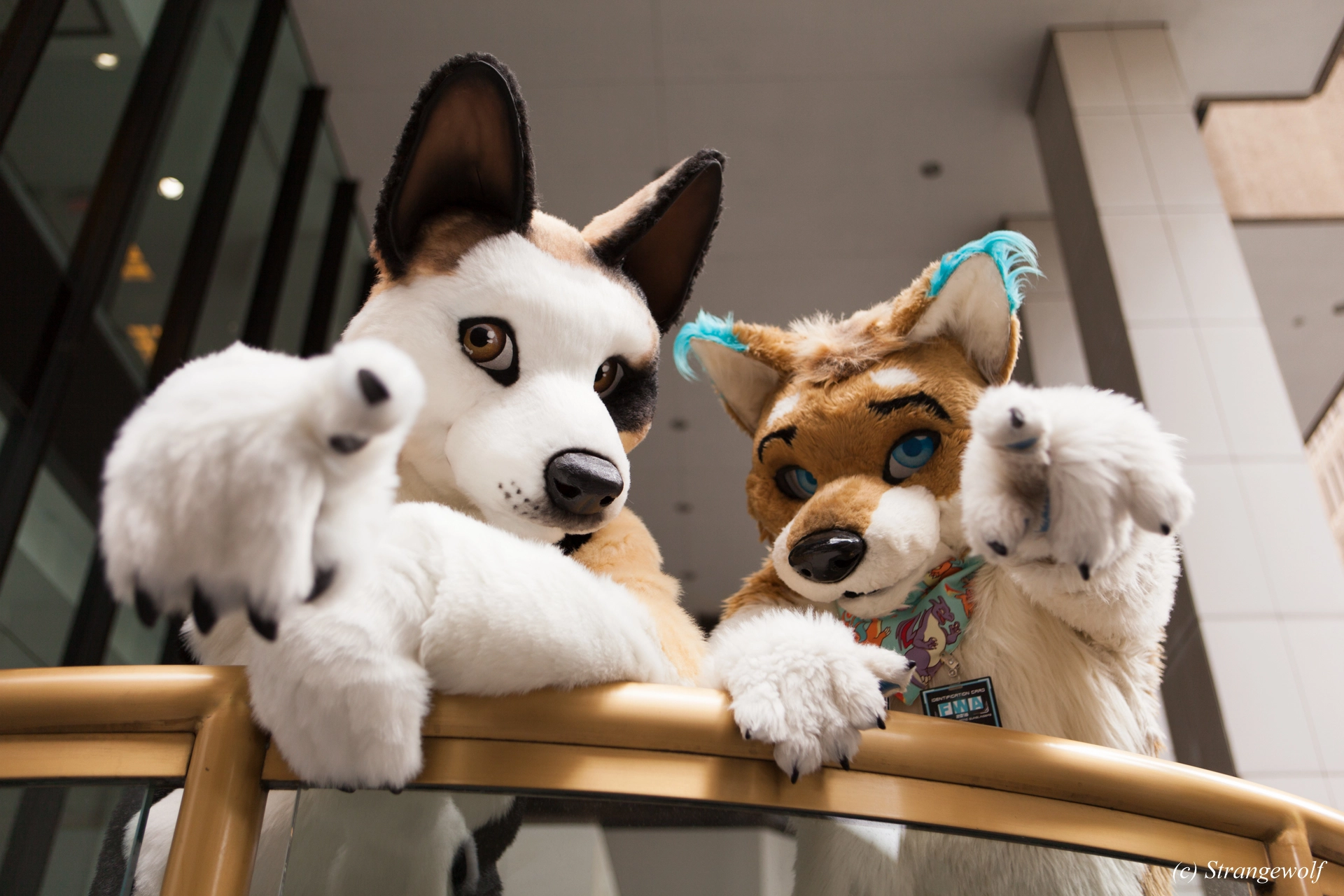 full image IMG_1728-lr19t.jpg