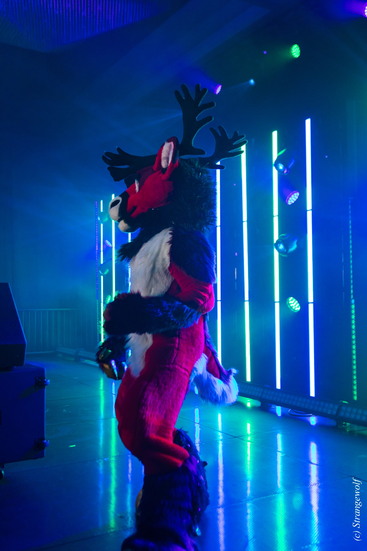 full image 1R3A5088-lr19t.jpg