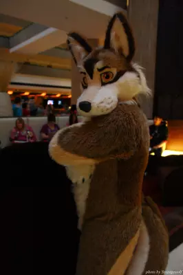 IMG_1078-lr.jpg of MFF/MFF2013/