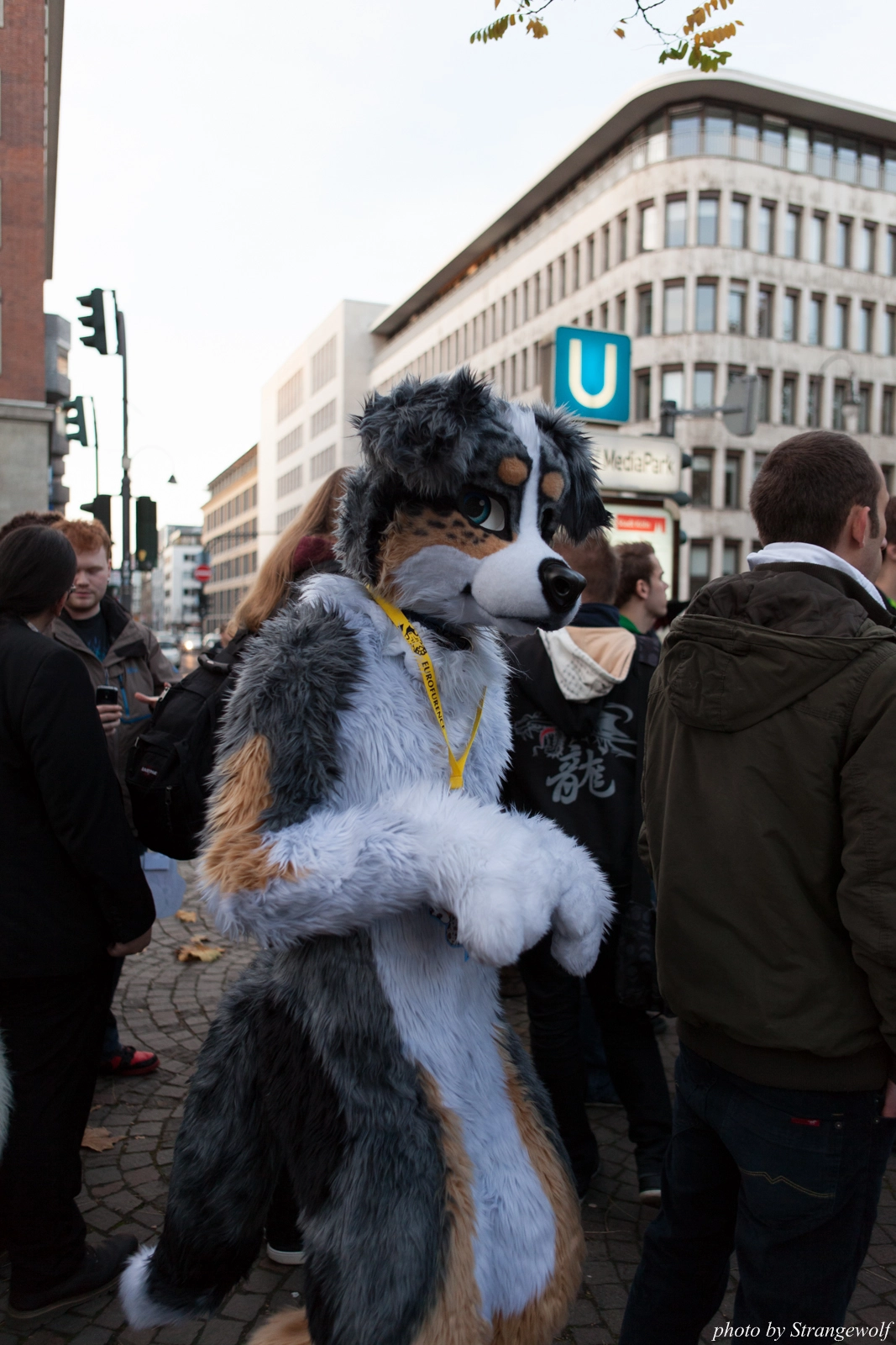 full image IMG_5327-lr16t.jpg