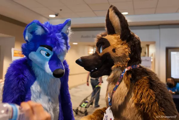 IMG_4518-lr.jpg of TFF/TFF2022/
