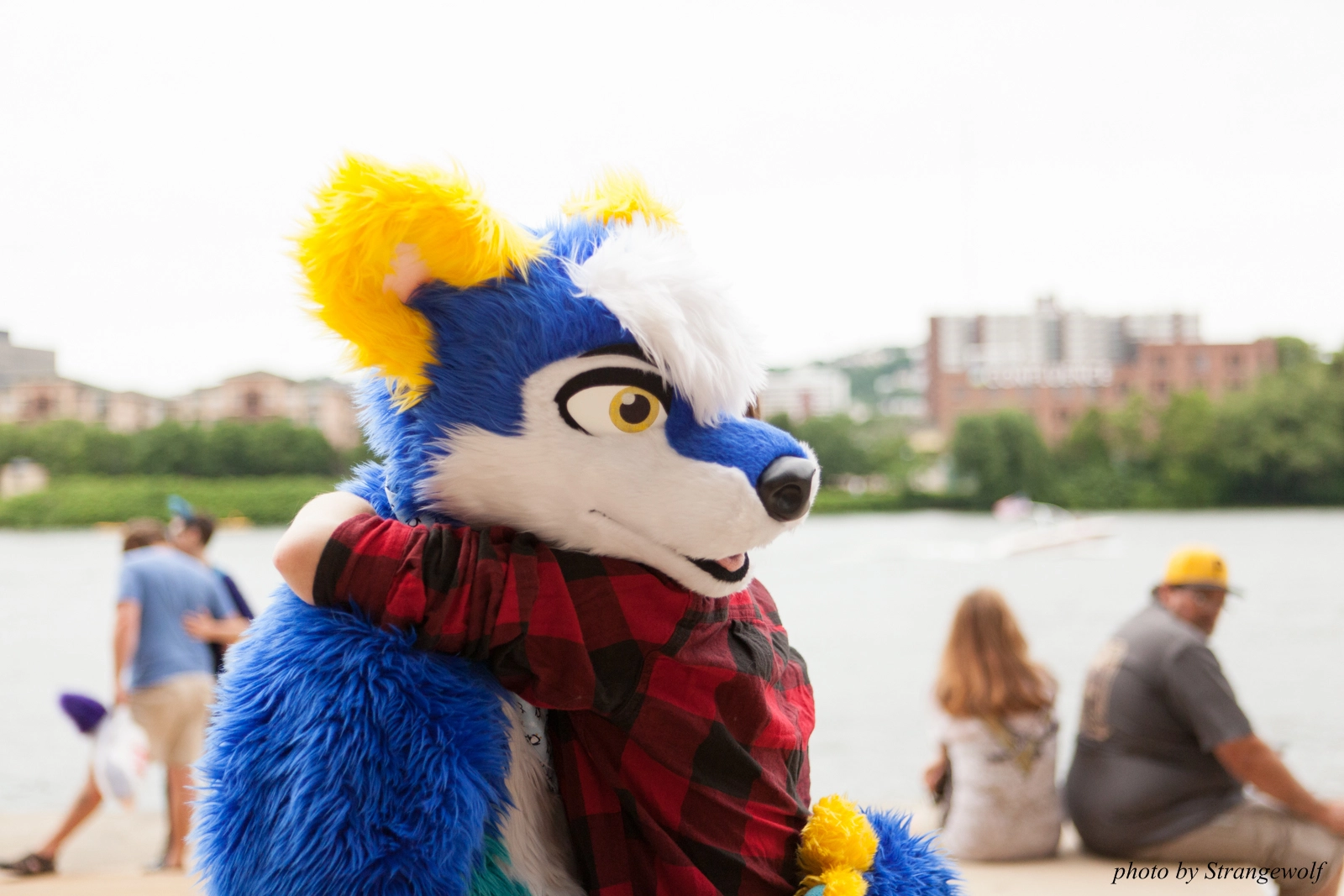 full image IMG_8272-lr16t.jpg