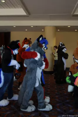 IMG_0584-lr.jpg of MFF/MFF2013/