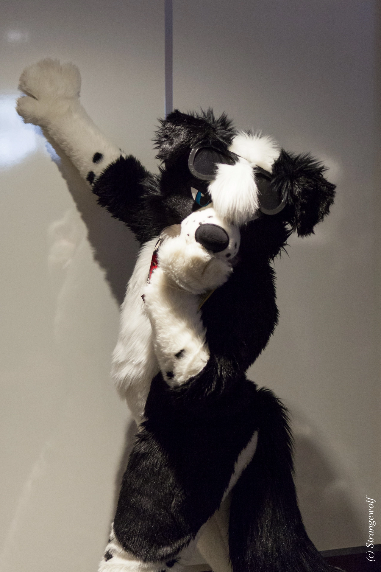 full image IMG_3452-lr19t.jpg