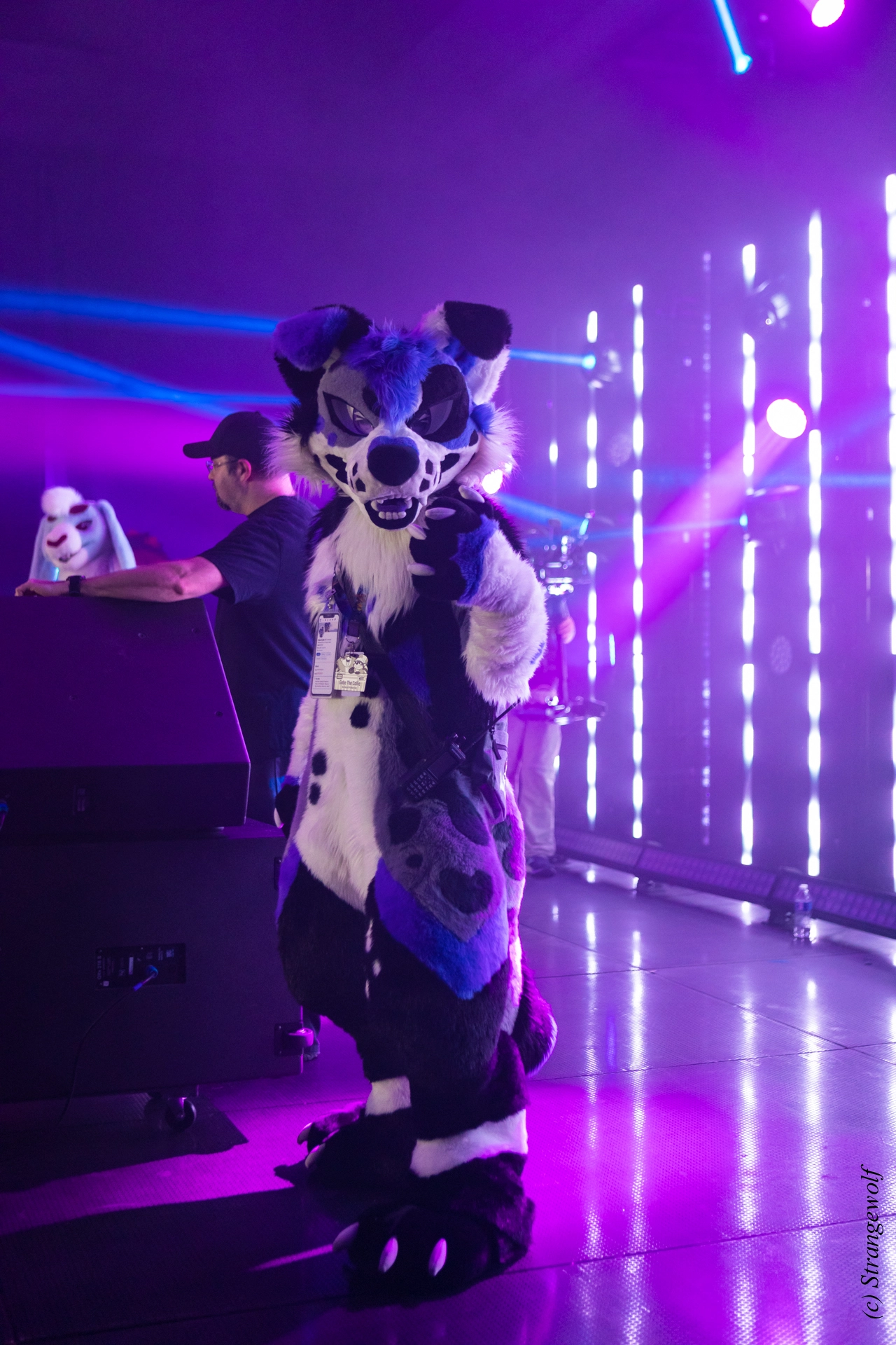 full image 1R3A5493-lr19t.jpg