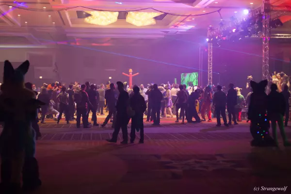 IMG_8039-lr19t.jpg of MFF/MFF2019/
