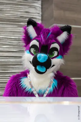 1R3A3267-lr19t.jpg of BLFC/BLFC2023/