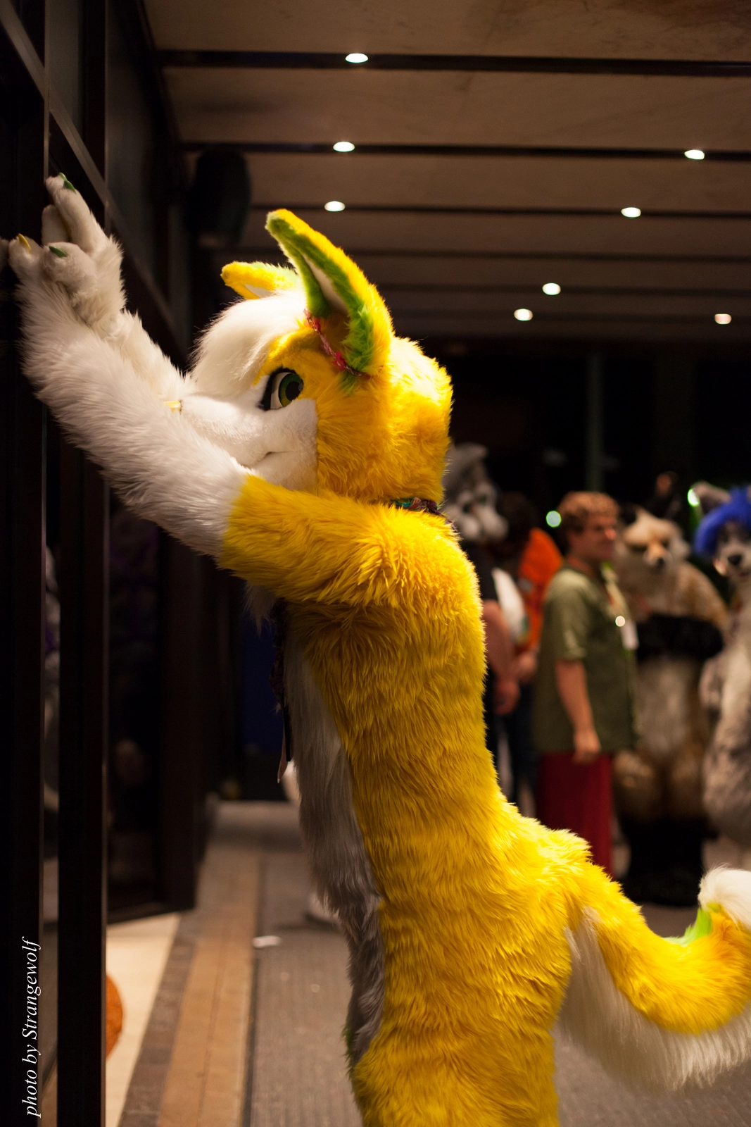 full image IMG_7657-lr16t.jpg