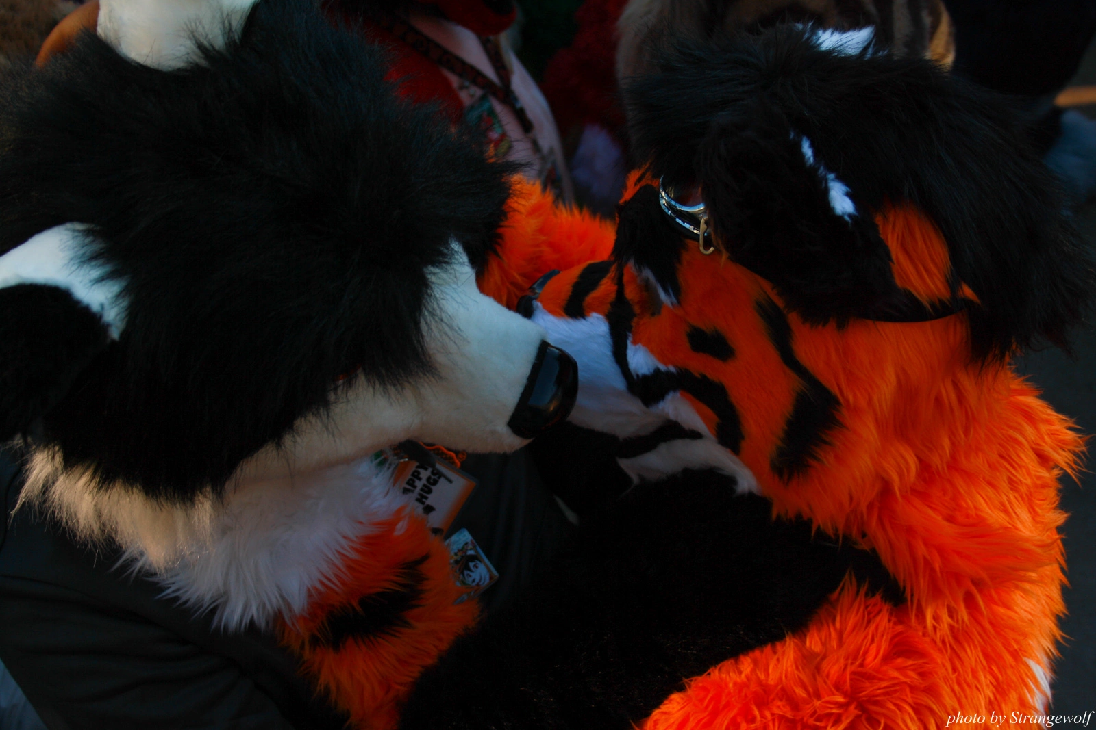 full image IMG_0694-lr.jpg